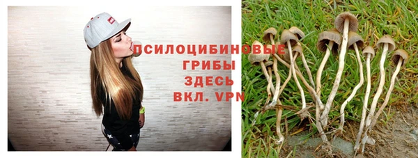 трава Балахна