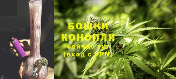 трава Балахна