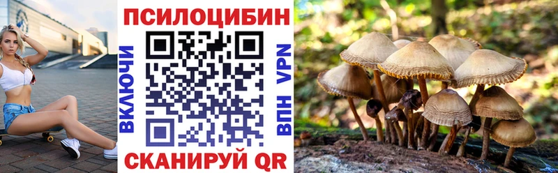 Псилоцибиновые грибы прущие грибы  продажа наркотиков  Магас 
